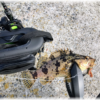 Thumbnail of post image 096