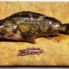 Thumbnail of post image 072
