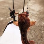 Thumbnail of related posts 154