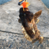 Thumbnail of post image 071
