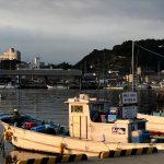 Thumbnail of related posts 173