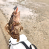 Thumbnail of post image 044