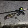 Thumbnail of post image 042