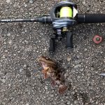 Thumbnail of related posts 147