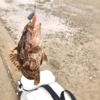 Thumbnail of post image 141