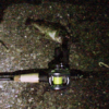 Thumbnail of post image 066