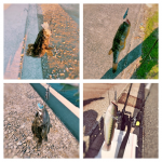 Thumbnail of related posts 179