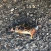 Thumbnail of post image 003