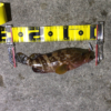 Thumbnail of post image 177