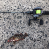 Thumbnail of post image 137