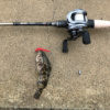 Thumbnail of post image 177