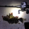 Thumbnail of post image 131