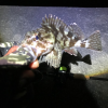 Thumbnail of post image 057