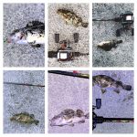 Thumbnail of related posts 148
