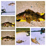 Thumbnail of related posts 123