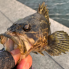 Thumbnail of post image 053