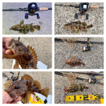 Thumbnail of related posts 142