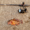 Thumbnail of post image 151