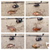 Thumbnail of post image 177