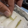 Thumbnail of post image 093