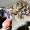 Thumbnail of post image 177