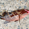 Thumbnail of post image 092