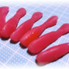 Thumbnail of post image 096