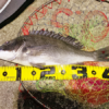 Thumbnail of post image 182