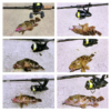 Thumbnail of post image 148