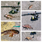 Thumbnail of related posts 161