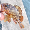 Thumbnail of post image 167