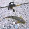 Thumbnail of post image 060