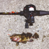 Thumbnail of post image 058