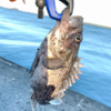 Thumbnail of post image 029