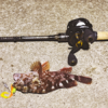 Thumbnail of post image 135