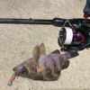 Thumbnail of post image 099