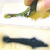 Thumbnail of post image 067