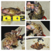 Thumbnail of post image 091