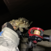 Thumbnail of post image 093
