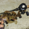 Thumbnail of post image 069