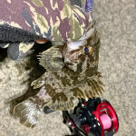 Thumbnail of related posts 037