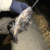 Thumbnail of post image 151