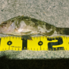 Thumbnail of post image 105