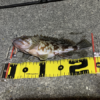 Thumbnail of post image 179