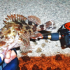 Thumbnail of post image 013