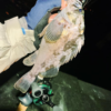 Thumbnail of post image 027