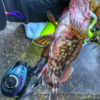 Thumbnail of post image 165