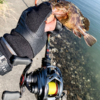 Thumbnail of post image 058