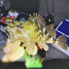 Thumbnail of post image 177