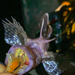 Thumbnail of related posts 135